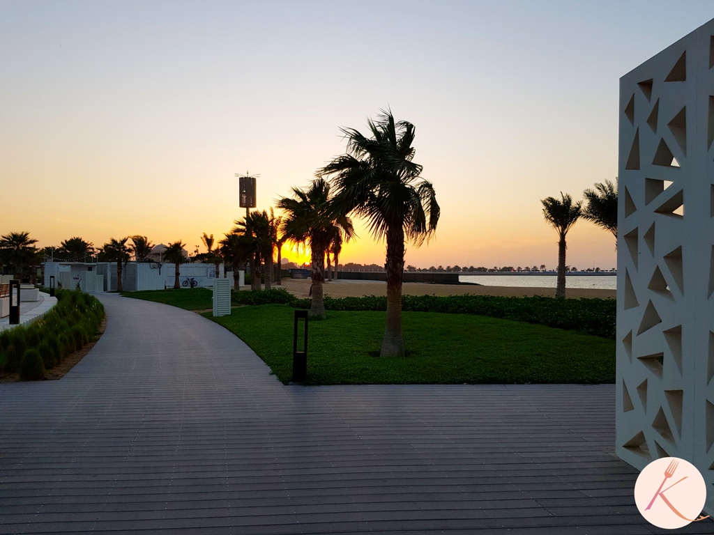 Se promener à Abu Dhabi : les palmiers de la Corniche