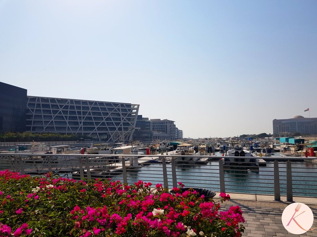 Sa balader à Abu Dhabi : Le port de Marsa AL BATEEN MARINA
